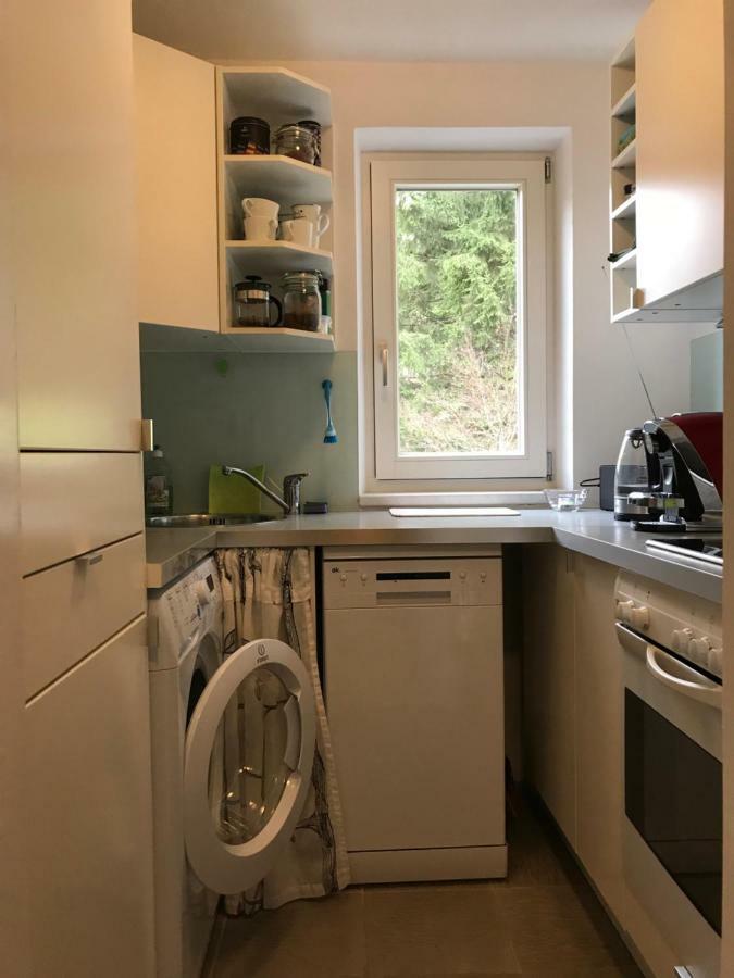 Apartment Gisi Инсбрук Екстериор снимка