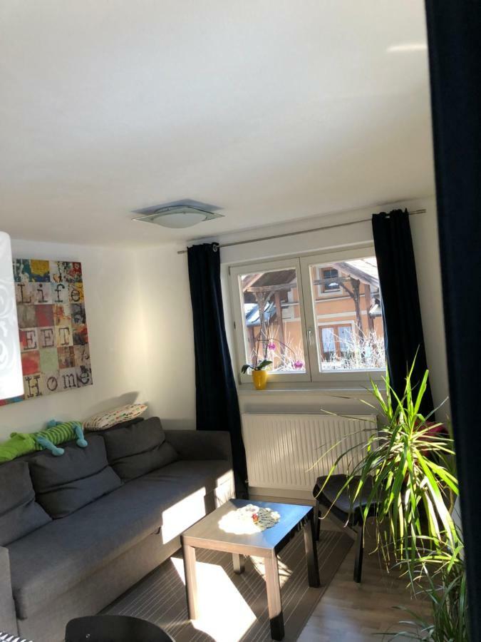 Apartment Gisi Инсбрук Екстериор снимка